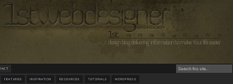 1stwebdesigner logo